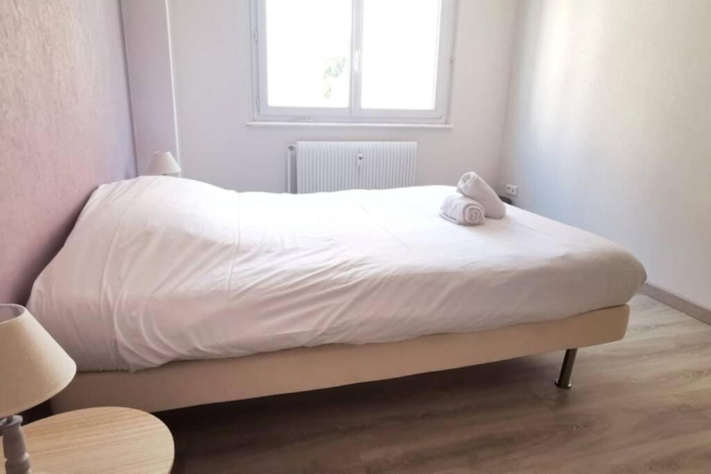 Appartement F2 Cosy Proche Centre Strasbourg Bagian luar foto